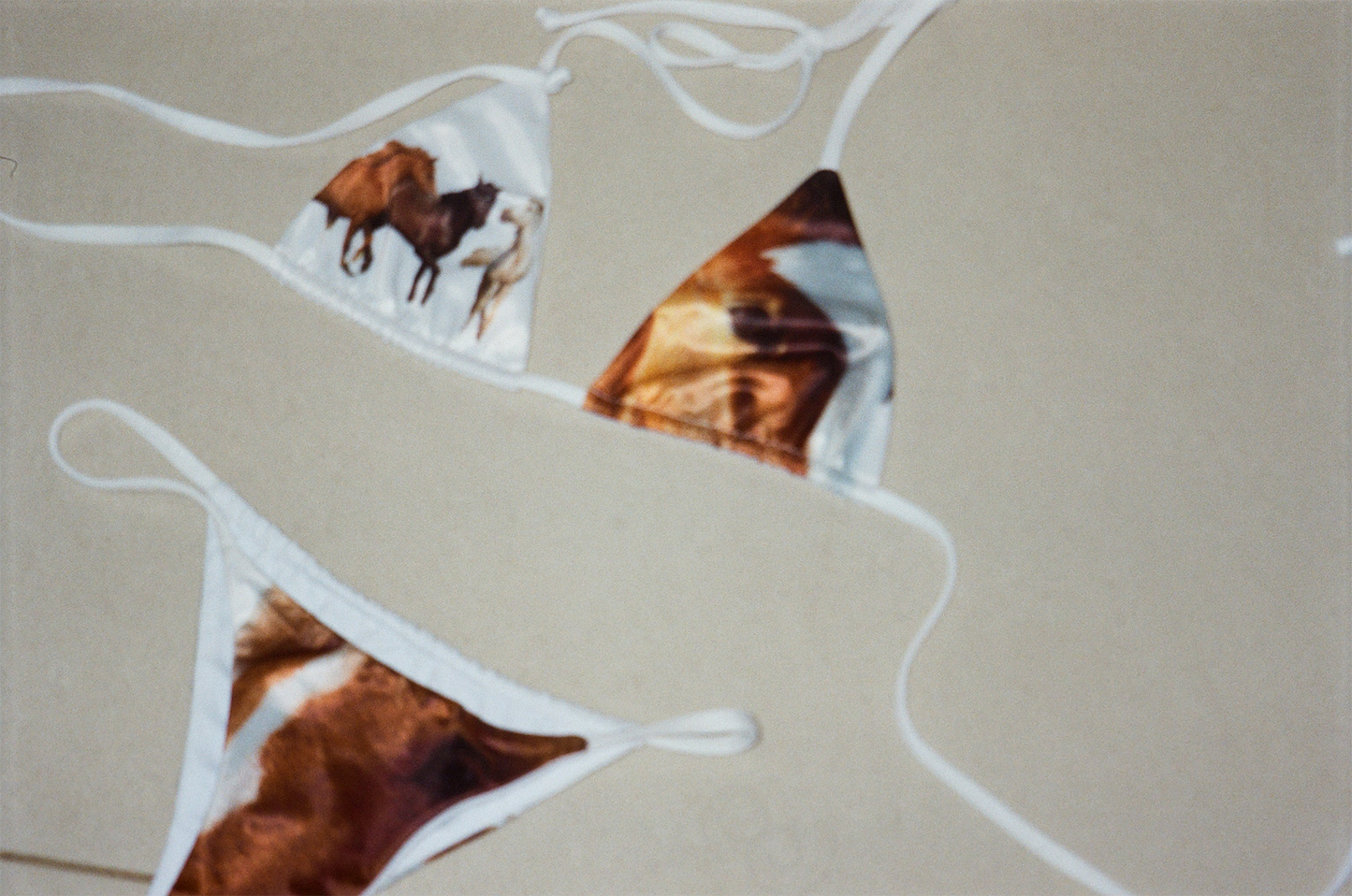 Horsegirl Reversible Bikini